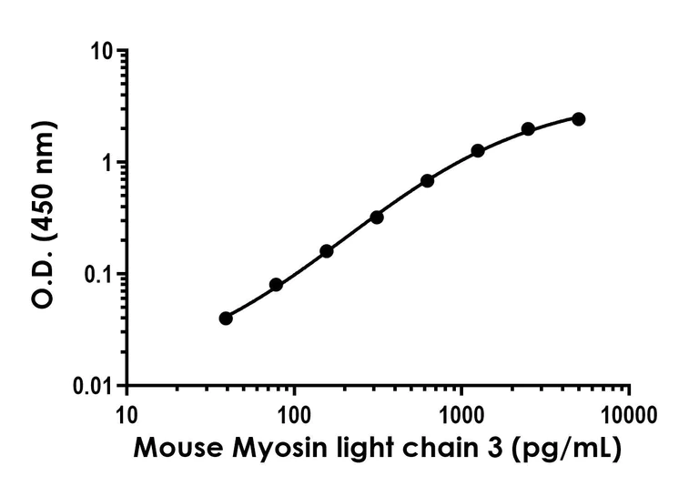 Sandwich ELISA - Anti-Myosin light chain 3 antibody [EPR4161] - BSA and Azide free (Capture/Detector) (AB259613)