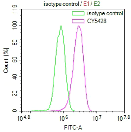 Flow Cytometry (Intracellular) - Anti-Myosin light chain kinase/MLCK antibody [28C5] (AB314185)