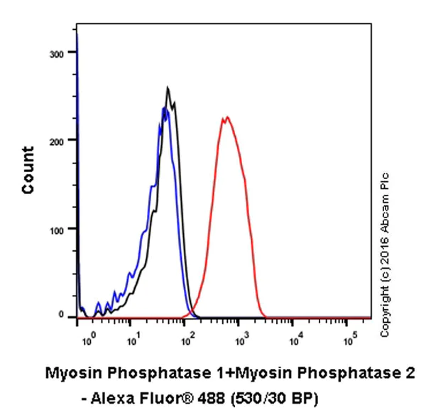 Flow Cytometry (Intracellular) - Anti-Myosin Phosphatase + Myosin Phosphatase 2 antibody [YE336] - BSA and Azide free (AB284672)