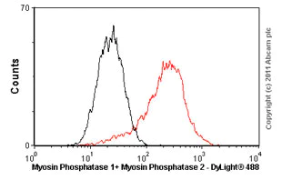 Flow Cytometry (Intracellular) - Anti-Myosin Phosphatase + Myosin Phosphatase 2 antibody [YE336] - BSA and Azide free (AB284672)