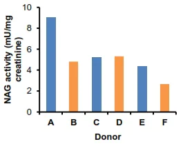 Functional Studies - N-Acetylglucosaminidase (beta-NAG) Activity Assay Kit (Colorimetric) (AB204705)