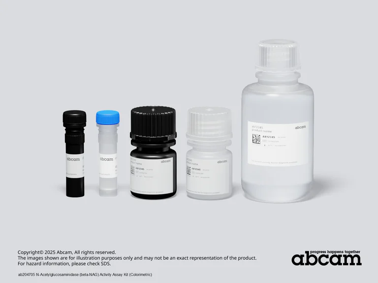 Schematic Diagram - N-Acetylglucosaminidase (beta-NAG) Activity Assay Kit (Colorimetric) (AB204705)