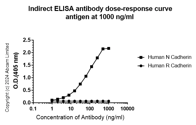 Indirect ELISA - Anti-N Cadherin antibody [EPR29626-10] (AB321897)