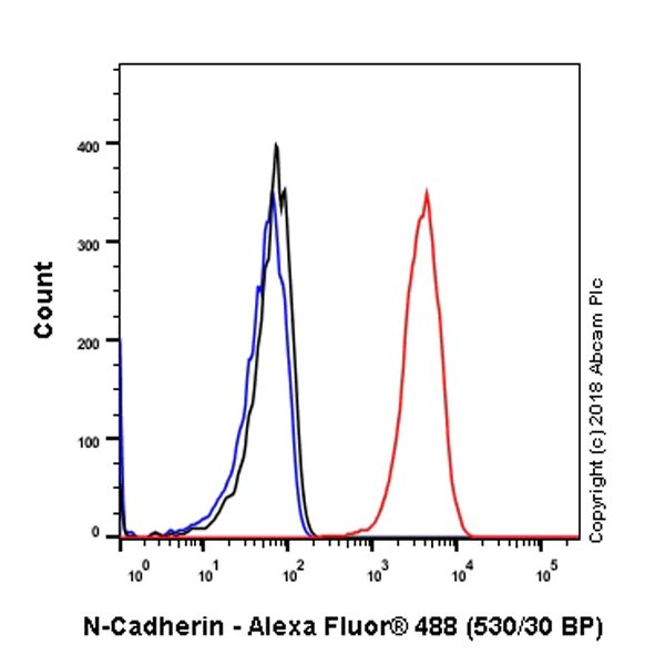 Flow Cytometry (Intracellular) - Anti-N Cadherin antibody [SP90] - C-terminal (AB225719)