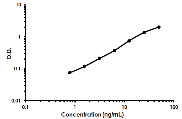 Sandwich ELISA - N Cadherin ELISA Kit (AB213756)