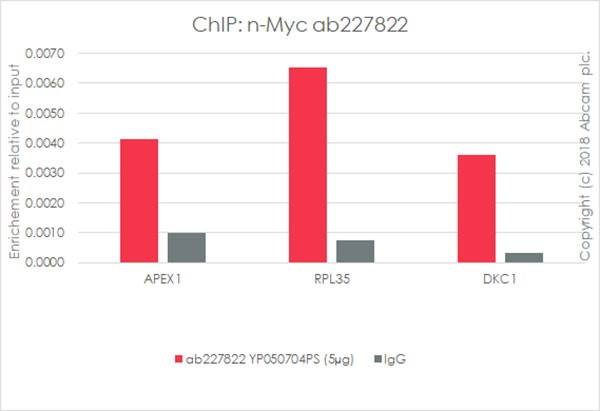 ChIP - Anti-n-Myc/MYCN antibody [EPR18982-8R-3] - BSA and Azide free (AB236459)