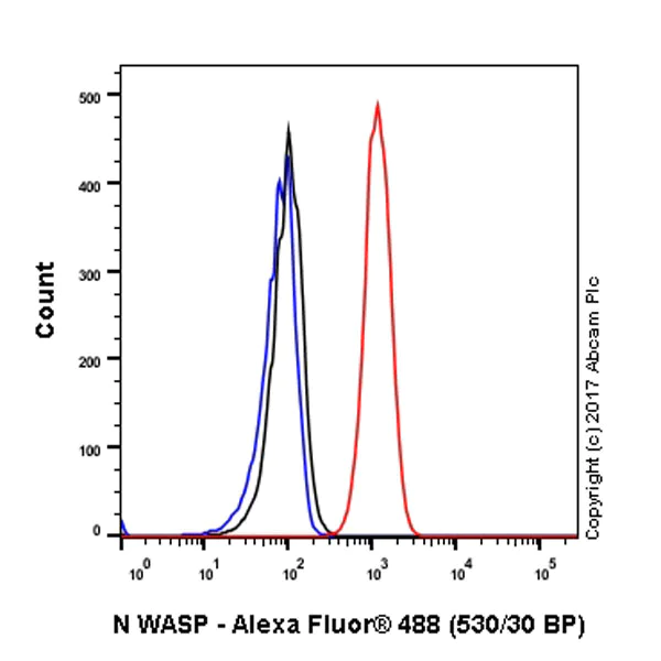Flow Cytometry (Intracellular) - Anti-N WASP antibody [EPR6959] - BSA and Azide free (AB232457)