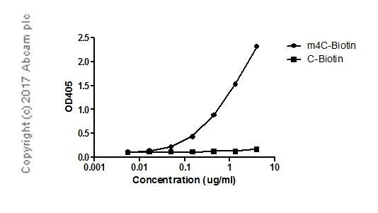 ELISA - Anti-N4-methylcytidine (m4C) antibody [EPR -19850-108] (AB211494)