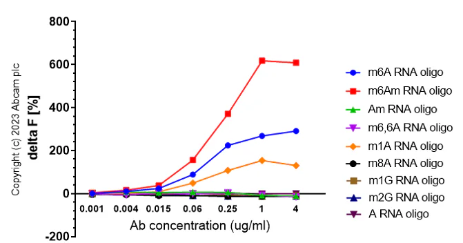 Fluorescence Resonance Energy Transfer - Anti-N6-methyladenosine (m6A) antibody [EPXVJ-1-2] (AB314476)