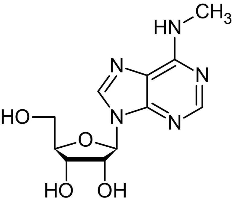 Chemical Structure - N6-Methyladenosine (m6A), Modified adenosine analog (AB145715)