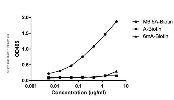 ELISA - Anti-N6, N6-dimethyladenosine (m6,6A) antibody [EPR- 19831-44] - BSA and Azide free (AB228860), expandable thumbnail