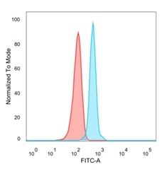 Flow Cytometry - Anti-Nac1 antibody [PCRP-NACC1-1A8] (AB277093), expandable thumbnail