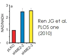 Functional Studies - NAD/NADH Assay Kit (Colorimetric) (AB65348)