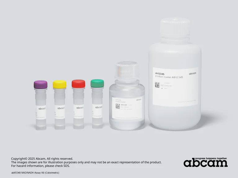 Other - NAD/NADH Assay Kit (Colorimetric) (AB65348)
