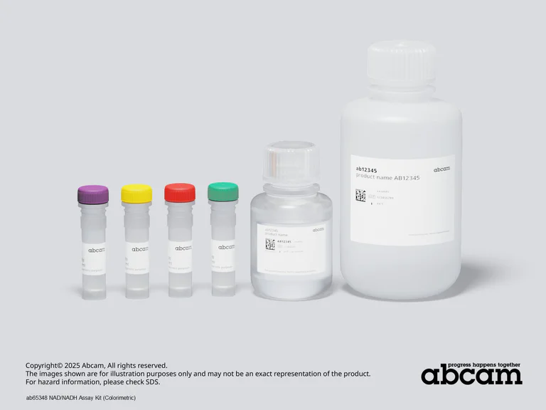 Schematic Diagram - NAD/NADH Assay Kit (Colorimetric) (AB65348)