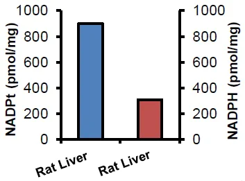 Functional Studies - NADP/NADPH Assay Kit (AB65349)