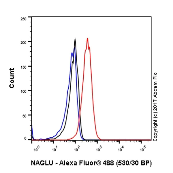 Flow Cytometry (Intracellular) - Anti-NAGLU/NAG antibody [EPR20708] - BSA and Azide free (AB251547)