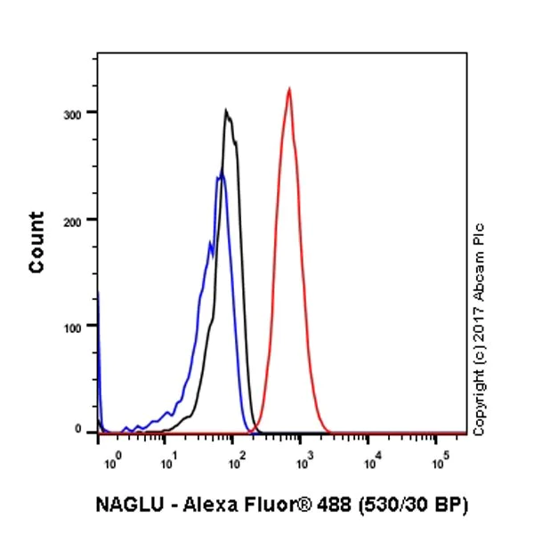 Flow Cytometry (Intracellular) - Anti-NAGLU/NAG antibody [EPR20708] - BSA and Azide free (AB251547)