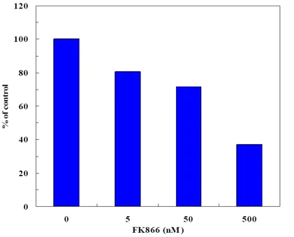 Functional Studies - NAMPT Activity Assay Kit (Colorimetric) (AB221819)