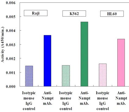 Functional Studies - NAMPT Activity Assay Kit (Colorimetric) (AB221819)
