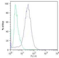 Flow Cytometry - Anti-Nanog antibody [23D2-3C6] (AB173368)