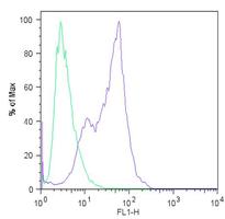 Flow Cytometry - Anti-Nanog antibody [23D2-3C6] (AB173368), expandable thumbnail