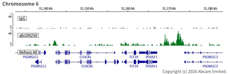 ChIC/CUT&RUN sequencing - Anti-Nanog antibody [EPR2027(2)] (AB109250)