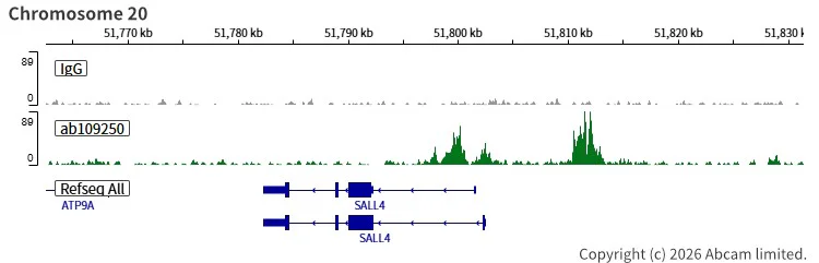 ChIC/CUT&RUN sequencing - Anti-Nanog antibody [EPR2027(2)] (AB109250)