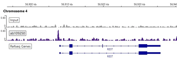 ChIP-sequencing - Anti-Nanog antibody [EPR2027(2)] (AB109250)