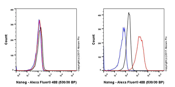 Flow Cytometry (Intracellular) - Anti-Nanog antibody [EPR20694] - BSA and Azide free (AB231300)