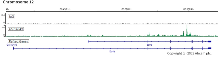 ChIC/CUT&RUN sequencing - Anti-Nanog antibody [EPR20694] - ChIP Grade (AB214549)