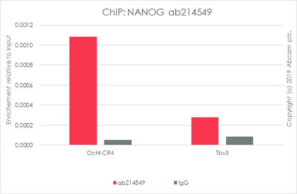 ChIP - Anti-Nanog antibody [EPR20694] - ChIP Grade (AB214549)