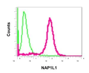 Flow Cytometry (Intracellular) - Anti-NAP1L1 antibody [EPR11845] - BSA and Azide free (AB250061)