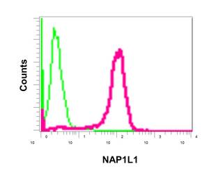 Flow Cytometry (Intracellular) - Anti-NAP1L1 antibody [EPR12619] - BSA and Azide free (AB249826), expandable thumbnail