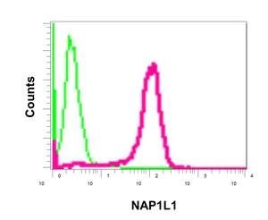 Flow Cytometry (Intracellular) - Anti-NAP1L1 antibody [EPR12619] - BSA and Azide free (AB249826)