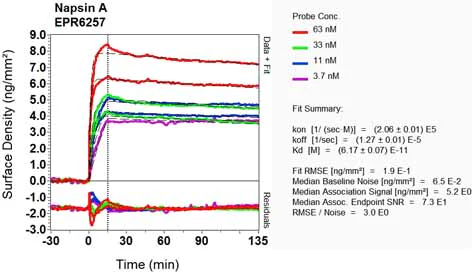 OI-RD Scanning - Anti-NAPSIN A antibody [EPR6257] - BSA and Azide free (AB248340)