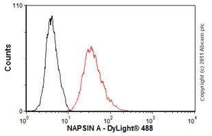 Flow Cytometry - Anti-NAPSIN A antibody [KCG1.1] (AB73021)
