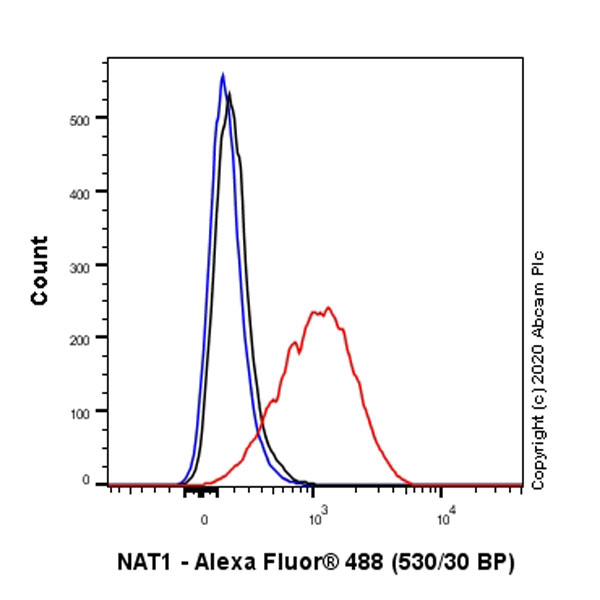 Flow Cytometry (Intracellular) - Anti-NAT1 antibody [EPR3221(2)] (AB109114), expandable thumbnail