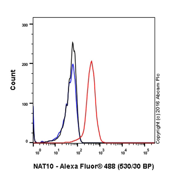 Flow Cytometry (Intracellular) - Anti-NAT10 antibody [EPR18663] - BSA and Azide free (ab251186), expandable thumbnail