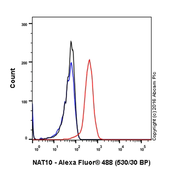 Flow Cytometry (Intracellular) - Anti-NAT10 antibody [EPR18663] - BSA and Azide free (AB251186)