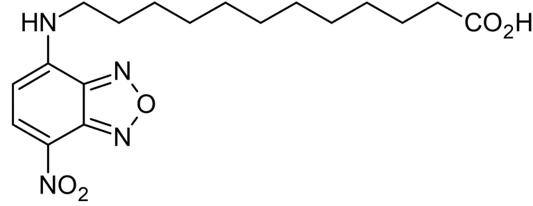 Chemical Structure - NBD-dodecanoic acid, Fatty acid ligand binding site probe (AB145361)