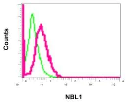 Flow Cytometry (Intracellular) - Anti-NBL1 antibody [EPR12397] (AB174843)