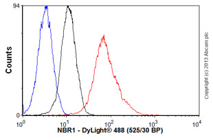 Flow Cytometry - Anti-NBR1 antibody [5C3] (AB55474), expandable thumbnail