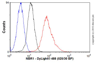 Flow Cytometry - Anti-NBR1 antibody [5C3] (AB55474)