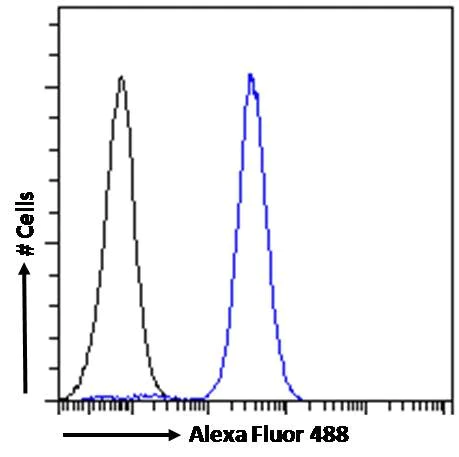 Flow Cytometry - Anti-NCAM1 antibody (AB118291)