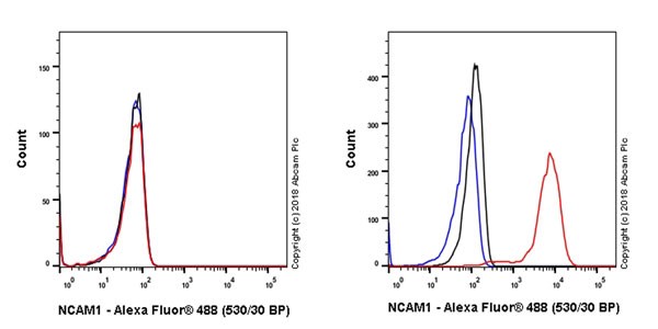 Flow Cytometry - Anti-NCAM1 antibody [EPR21827] (AB220360), expandable thumbnail