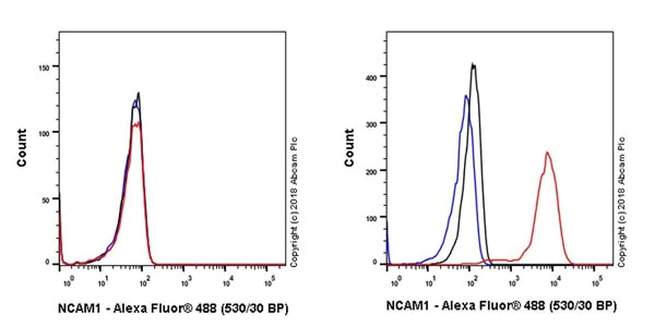 Flow Cytometry - Anti-NCAM1 antibody [EPR21827] - BSA and Azide free (AB231826)