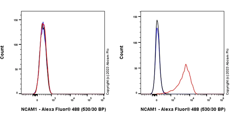Flow Cytometry - Anti-NCAM1 antibody [EPR26939-108] (AB313779)