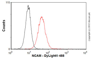Flow Cytometry - Anti-NCAM1 antibody [ERIC-1] (AB6123), expandable thumbnail