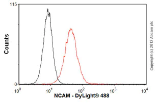 Flow Cytometry - Anti-NCAM1 antibody [ERIC-1] (AB6123)